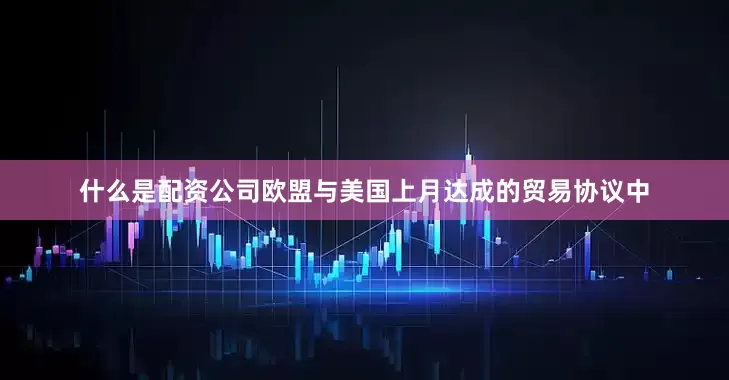 什么是配资公司欧盟与美国上月达成的贸易协议中